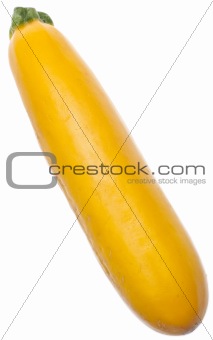 Golden Yellow Zucchini