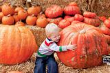 toddler at the pumpkin patch