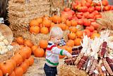 toddler at the pumpkin patch