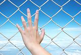 hand holding on chain link fence