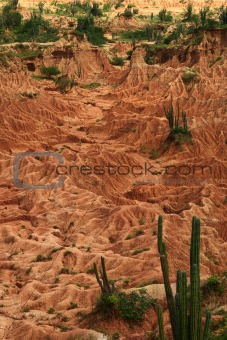 Tatacoa Desert in Colombia