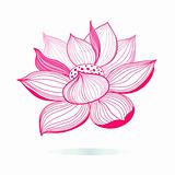 graphic pink lotus