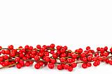 Red Christmas berries border