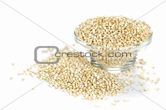 Quinoa grain in bowl