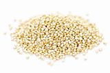 Quinoa grain closeup
