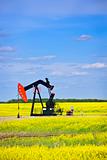 Nodding oil pump in prairies