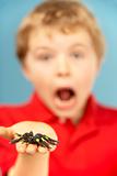 Young Boy Holding Plastic Spider