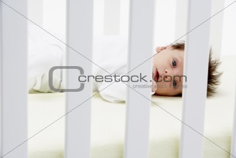 Newborn Baby In Cot