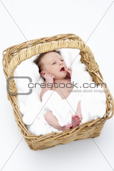 Newborn Baby In Basket