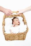 Newborn Baby Held In Basket By Parents