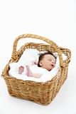 Newborn Baby Sleeping In Basket