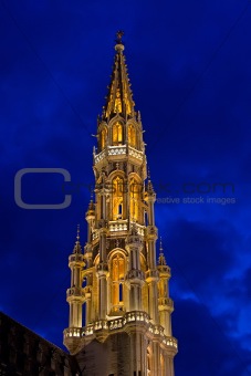 Brussels Tower at Night