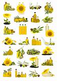 olive oil and sunflower oil
