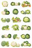 cauliflower, cabbage and broccoli 