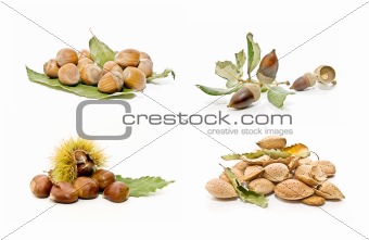 nuts collection