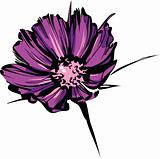 bright sketch of purple wild flower