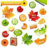 Autumn Collection Sale Elements