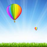 Grass And Two Hot Air Balloons