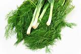 Fresh green dill and onion.