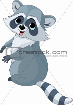 Cute cartoon raccoon