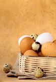 Group of brown and white hen's eggs in wicker basket