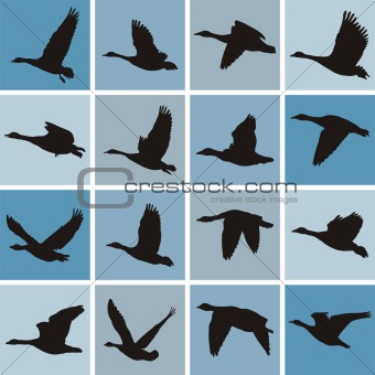 Wild geese pattern