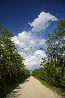 Backcountry Road