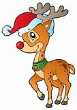 Deer with Christmas cap 1
