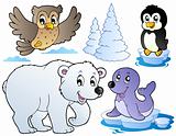 Various happy winter animals