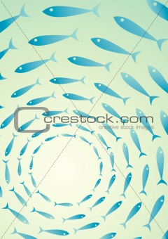 Flock of fish in the sea