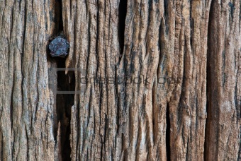 Wooden texture with rusty nail
