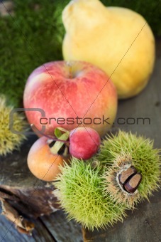 Forest fruit