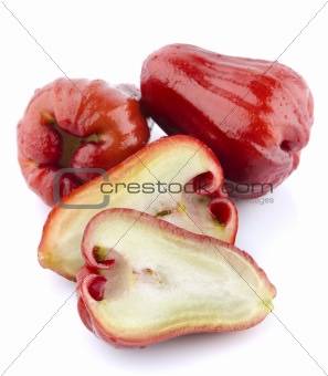 Rose Apple or Chomphu