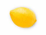 lemon(227).jpg