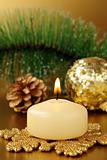 Christmas decoration,  fir sprig, candle and cones