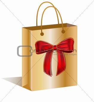 Shopping bag witha bow