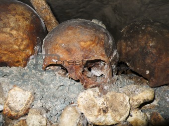 Catacombs Skull
