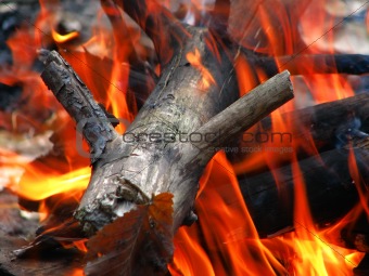wood in the fire