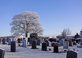 Winter graveyard