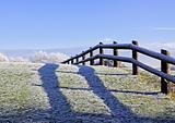 Frosted fence