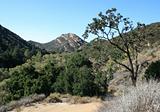Malibu Creek State Park Crags Trail