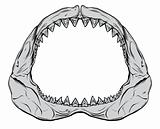 Shark Jaw