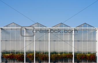 Greenhouse
