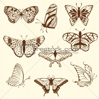 Set of differnet sketch butterfly