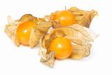 Physalis berries, isolated