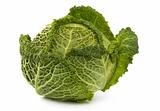 Savoy cabbage, isolated