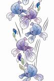 Seamless vertical border with blue irises