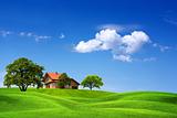 House and green landscape