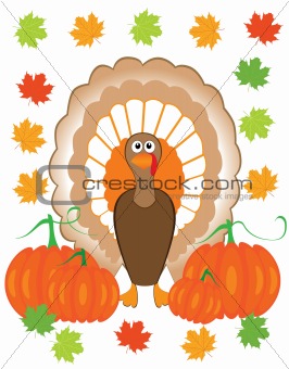 vector thanksgiving turkey