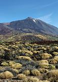 El Teide summit desert